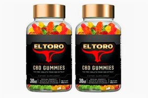 Best CBD Gummies for Focus and Concentration